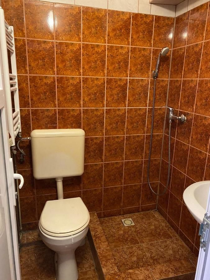 Отель Pensiune Turist Сибиу