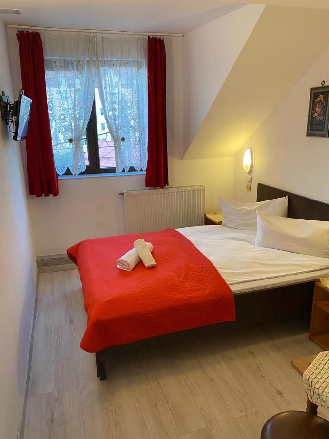 Отель Pensiune Turist Сибиу-22