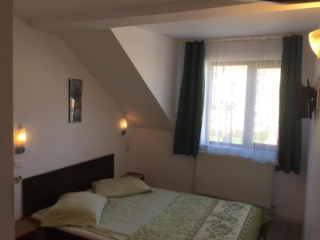 Отель Pensiune Turist Сибиу-24