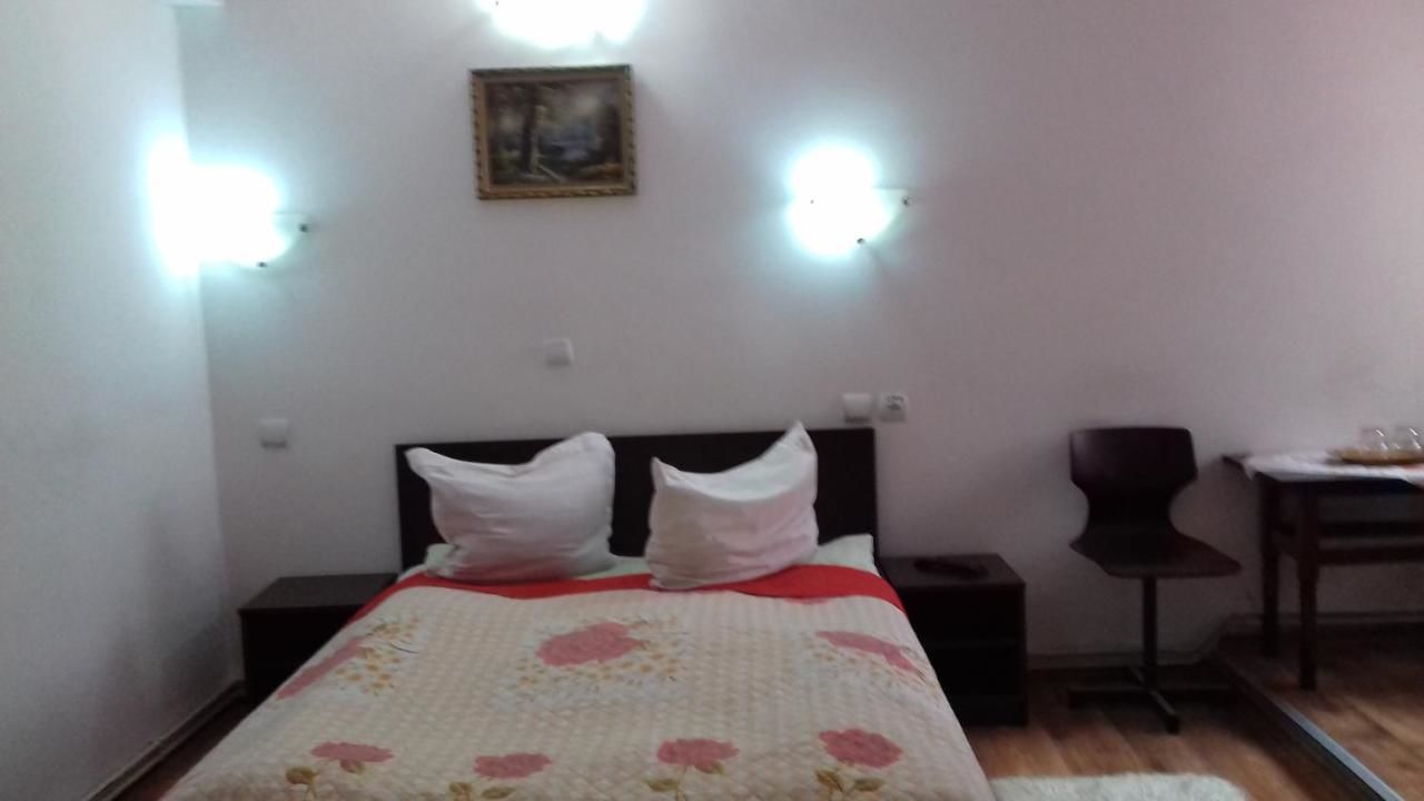 Отель Pensiune Turist Сибиу