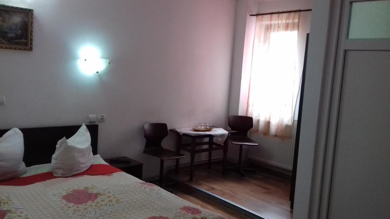 Отель Pensiune Turist Сибиу