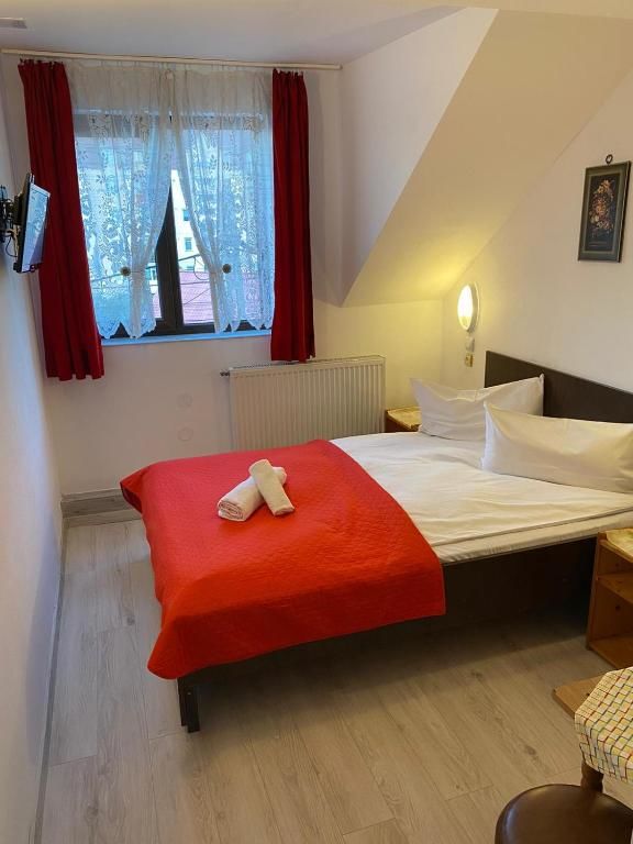 Отель Pensiune Turist Сибиу