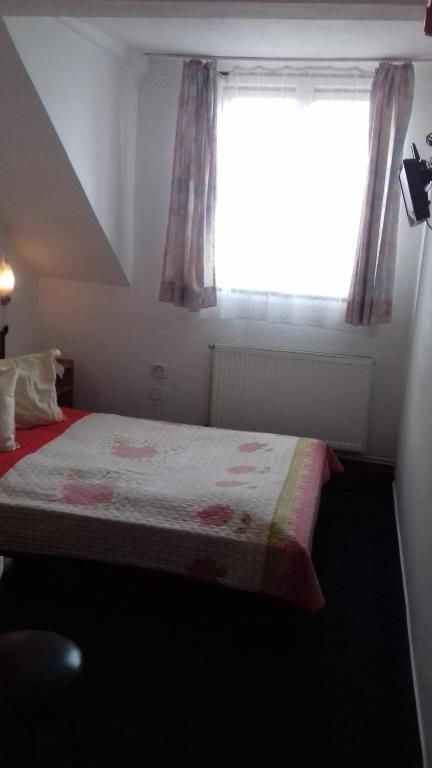 Отель Pensiune Turist Сибиу